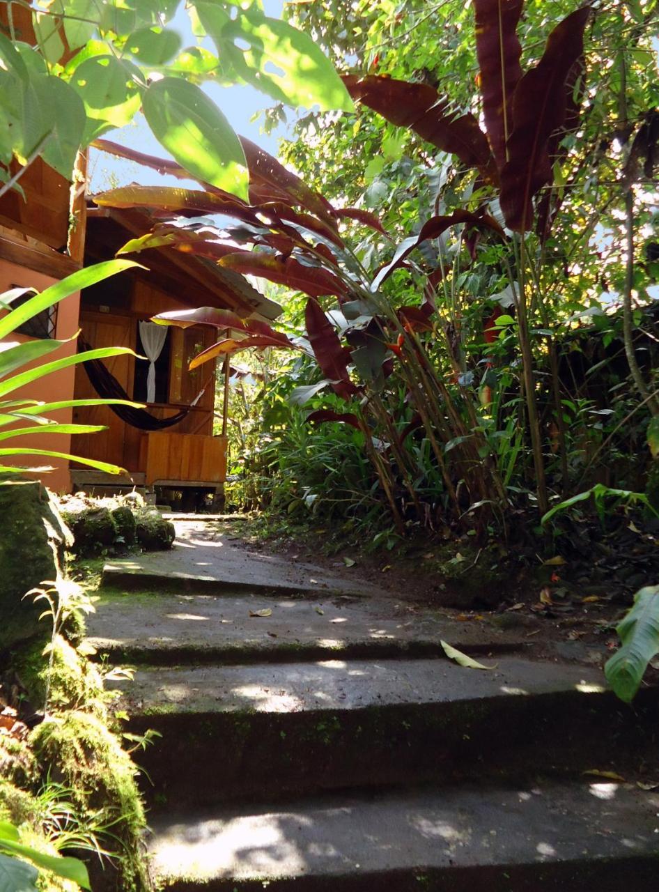 Cabanas Armonia Y Jardin De Orquideas Mindo Exterior photo